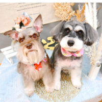 【池下店】2021年12月30日のワンちゃん達♪