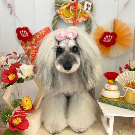 【本店】2022年1月17日のワンちゃん達♪