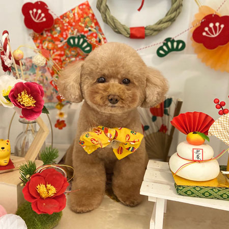 【本店】2022年1月20日のワンちゃん達♪