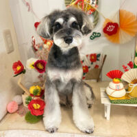 【本店】2022年1月23日のワンちゃん達♪