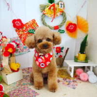 【本店】2022年1月7日のワンちゃん達♪