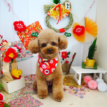 【本店】2022年1月7日のワンちゃん達♪