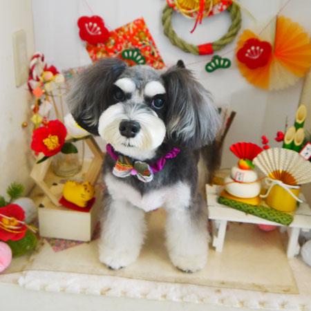 【本店】2022年1月8日のワンちゃん達♪