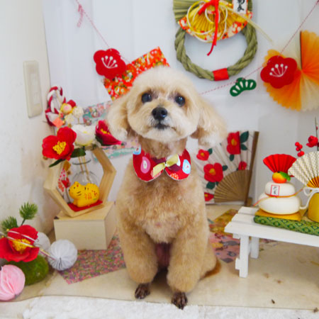 【本店】2022年1月10日のワンちゃん達♪