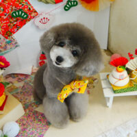 【本店】2022年1月13日のワンちゃん達♪