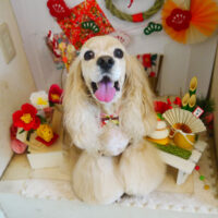 【本店】2022年1月14日のわんちゃん達