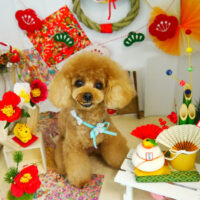 【本店】2022年1月26日のワンちゃん達♪