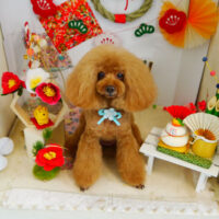 【本店】2022年1月28日のワンちゃん達♪