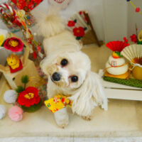 【本店】2022年1月29日のワンちゃん達♪