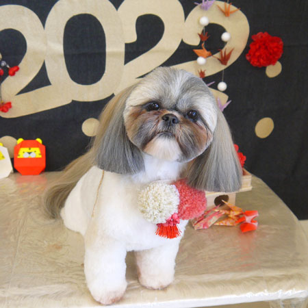 【山手店】2022年1月7日のワンちゃん達♪