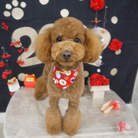 【山手店】2022年1月8日のワンちゃん達♪