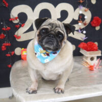 【山手店】2021年1月10日のワンちゃん達♪