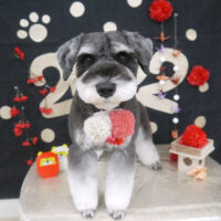 【山手店】2022年1月13日のワンちゃん達♪