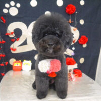 【山手店】2022年1月14日のワンちゃん達♪