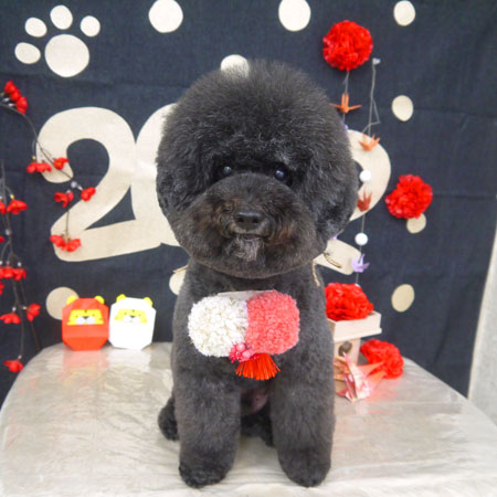 【山手店】2022年1月14日のワンちゃん達♪