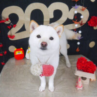 【山手店】2022年1月15日のワンちゃん達♪