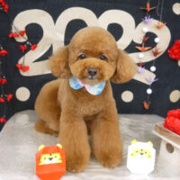 【山手店】2022年1月16日のワンちゃん達♪