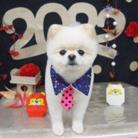 【山手店】2022年1月17日のワンちゃん達♪