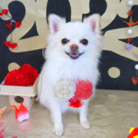 【山手店】2022年1月21のワンちゃん達♪