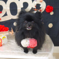 【山手店】2022年1月23日のワンちゃん達♪