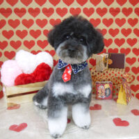 【山手店】2022年1月26日のワンちゃん達♪