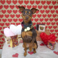 【山手店】2022年1月30日のワンちゃん達♪