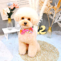 【池下店】2022年1月6日のワンちゃん達♪