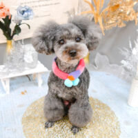 【池下店】2022年1月15日のワンちゃん達♪