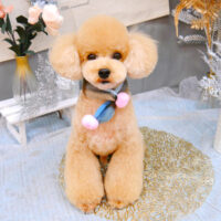 【池下店】2022年１月17日のワンちゃん達♪