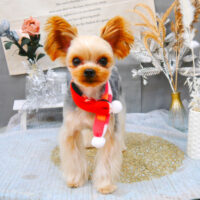 【池下店】2022年1月22日のワンちゃん達♪