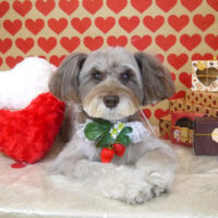 【山手店】2022年2月18日のワンちゃん達♪