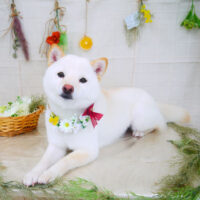 【山手店】2022年2月26日のワンちゃん達♪