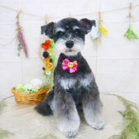 【山手店】2022年2月28日のワンちゃん達♪