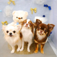 【池下店】2022年2月25日のワンちゃん達♪