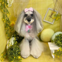 【本店】2022年3月13日のワンちゃん達♪