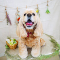 【山手店】2022年3月3日のワンちゃん達♪