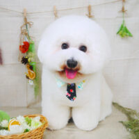 【山手店】2022年3月4日のワンちゃん達♪