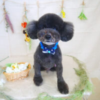 【山手店】2022年3月10日のワンちゃん達♪