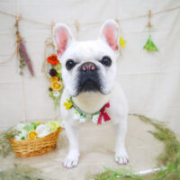 【山手店】2022年3月13日のワンちゃん達♪