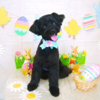 【山手店】2022年3月30日のワンちゃん達♪