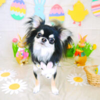 【山手店】2022年3月31日のワンちゃん達♪