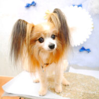 【池下店】2022年3月18日のワンちゃん達♪