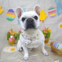 【山手店】2022年4月17日のワンちゃん達♪