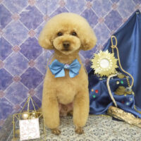 【山手店】2022年4月27日のワンちゃん達♪