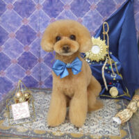 【山手店】2022年4月28日のワンちゃん達♪