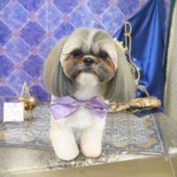 【山手店】2022年4月30日のワンちゃん達♪