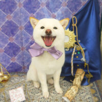 【山手店】2022年5月1日のワンちゃん達♪