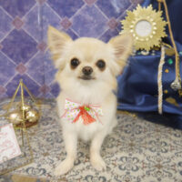 【山手店】2022年5月6日のワンちゃん達♪