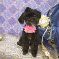 【山手店】2022年5月7日のワンちゃん達♪