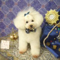 【山手店】2022年5月8日のワンちゃん達♪